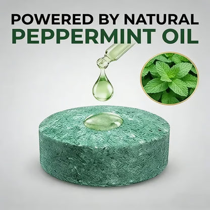Natural Peppermint Rodent Repellent Balls